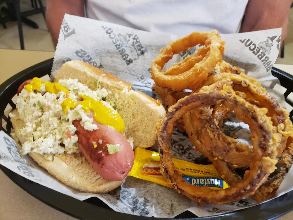 Hot Dog and Onion Rings