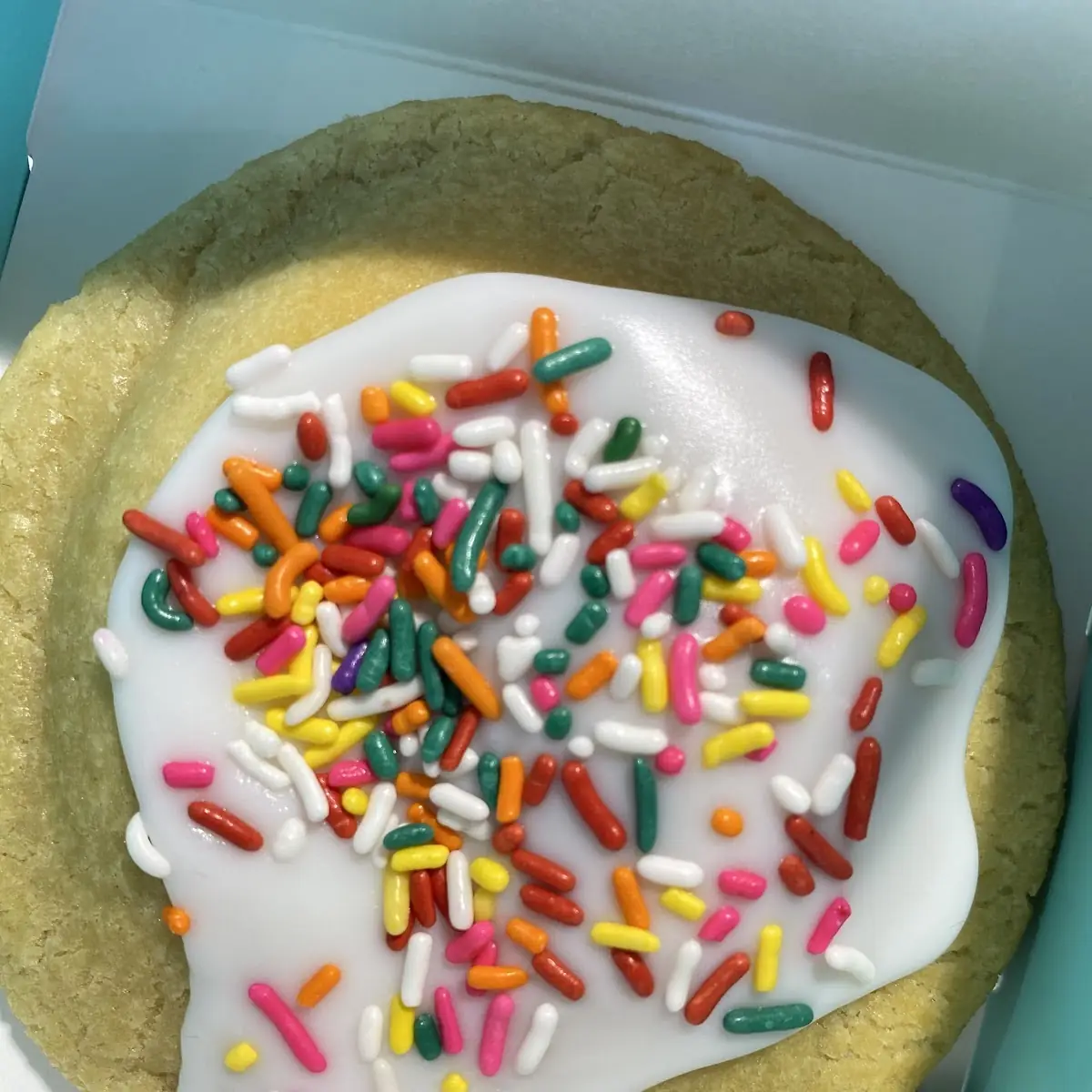 Sugar Cookie