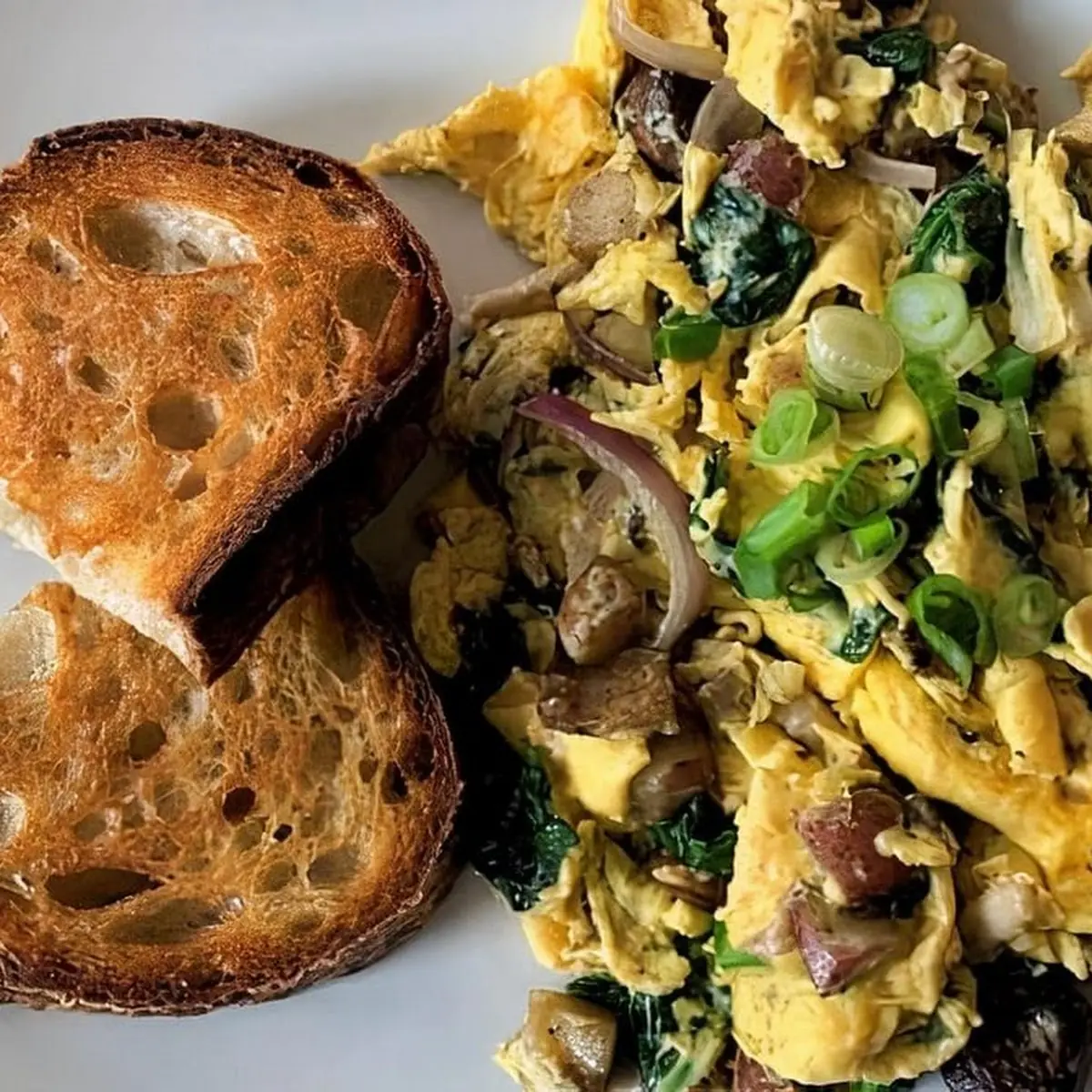 Julie's Albacore Tuna Salad Toast