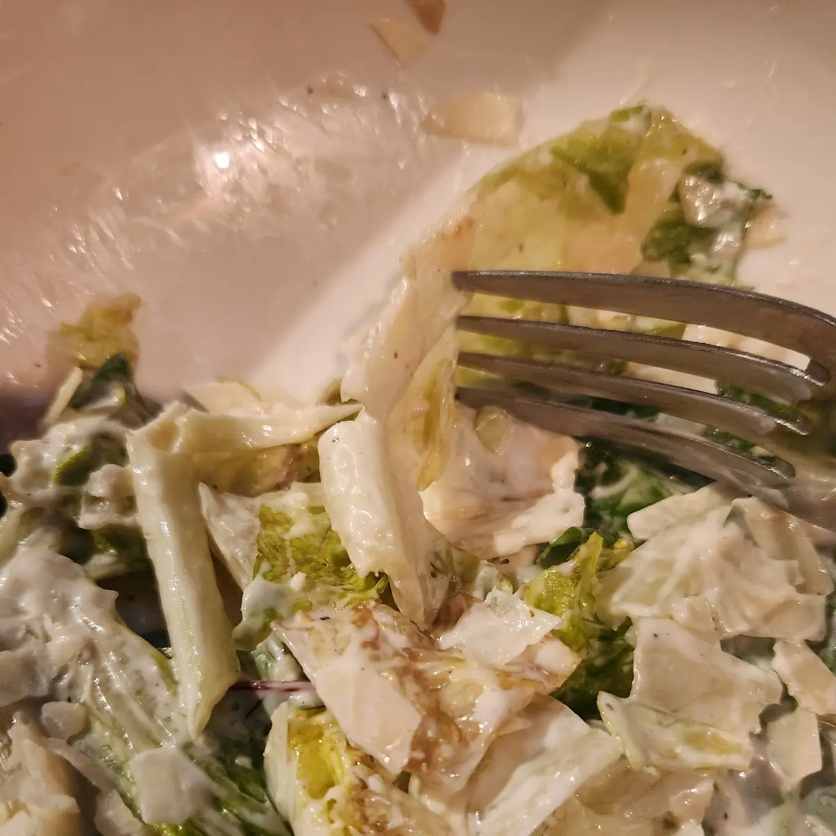 Chicken Broccoli Alfredo