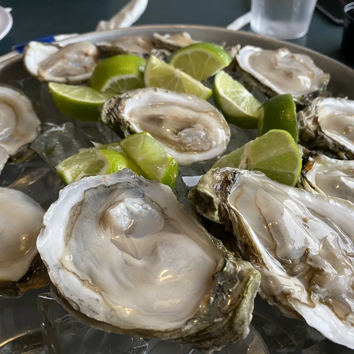 Raw Oysters DZ