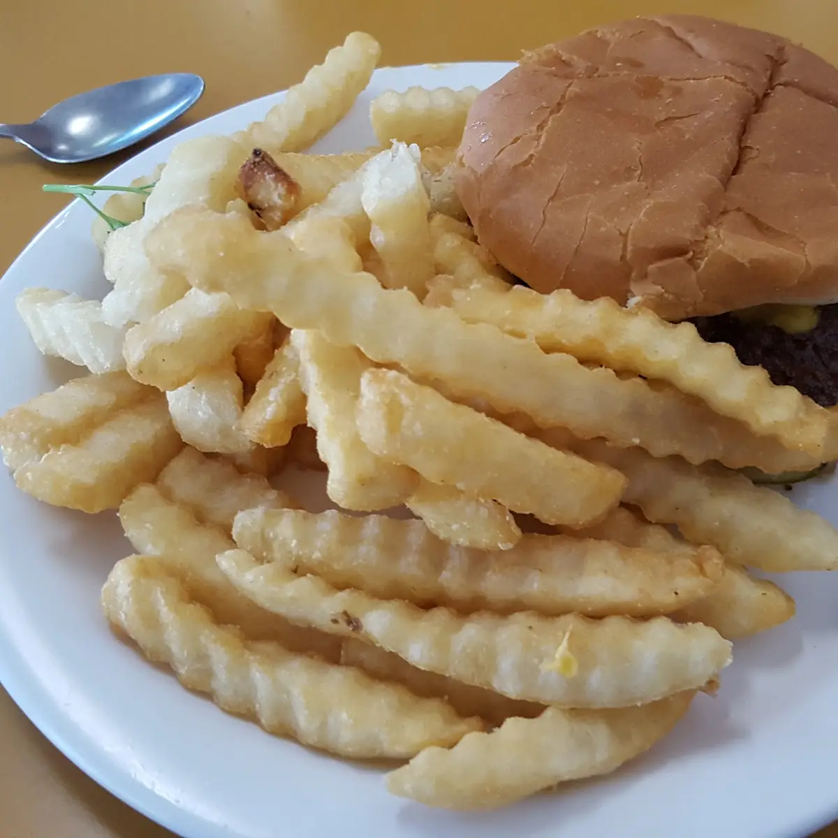 Double Cheeseburger and Fries