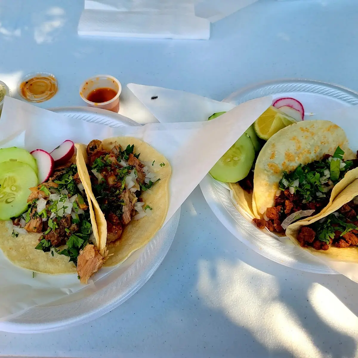 Al Pastor Taco and Carnitas Taco