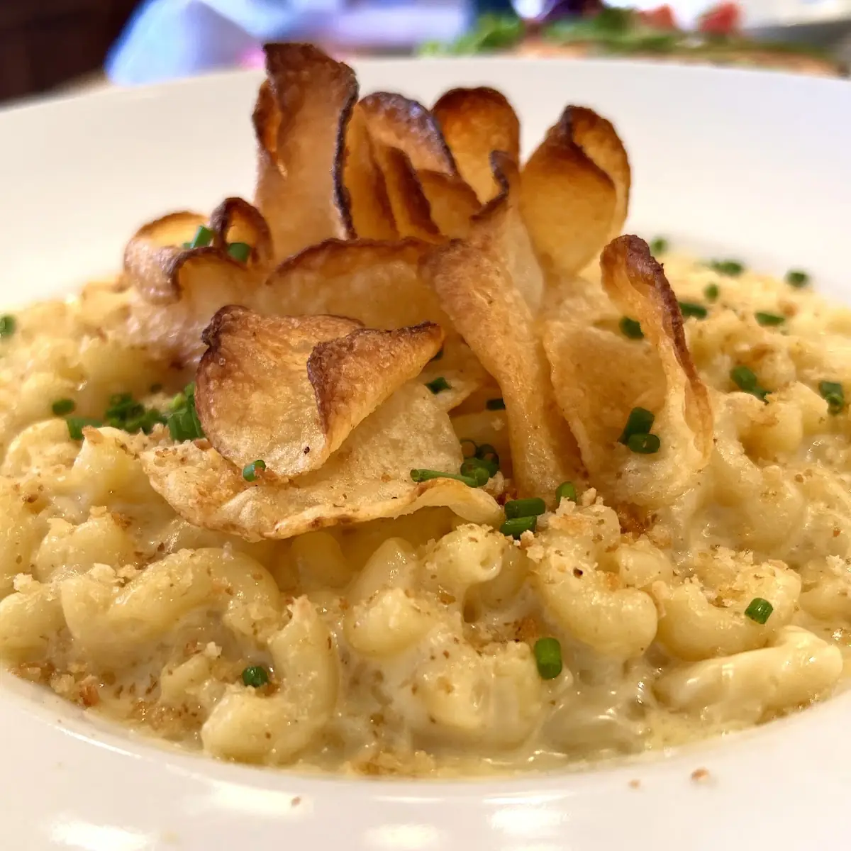 Mac & Cheese the Cheese Shop Way