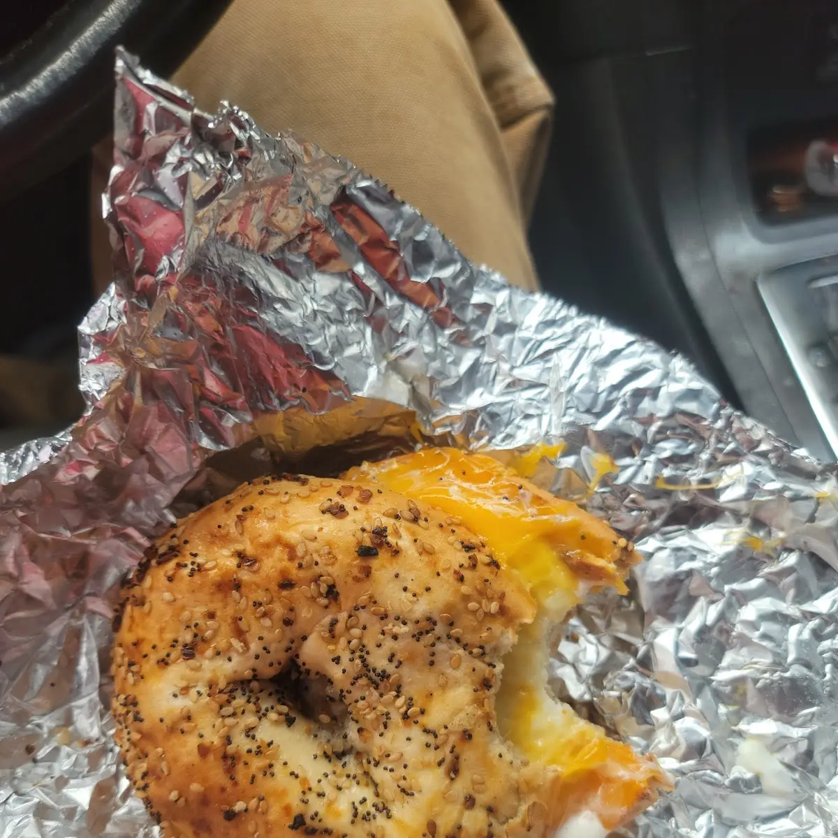 Everything Bagel Sandwich