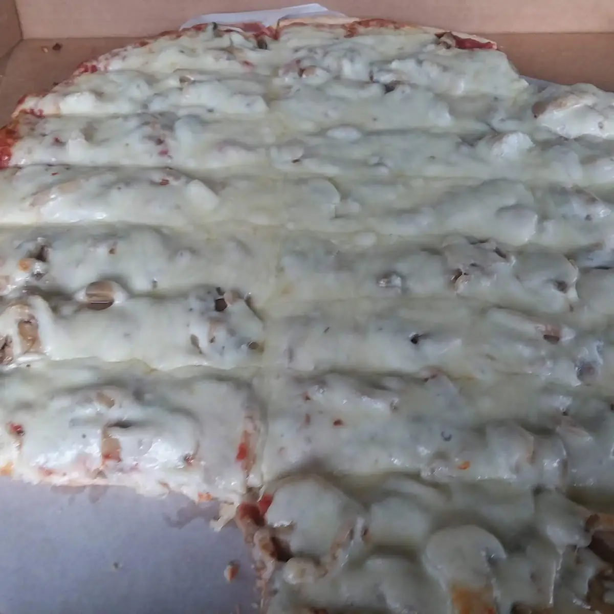 Cheese and Mushroom Pizza