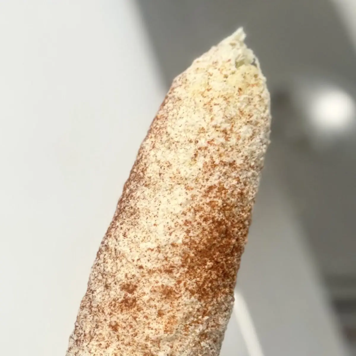 Elote Empanizado Breaded Corn