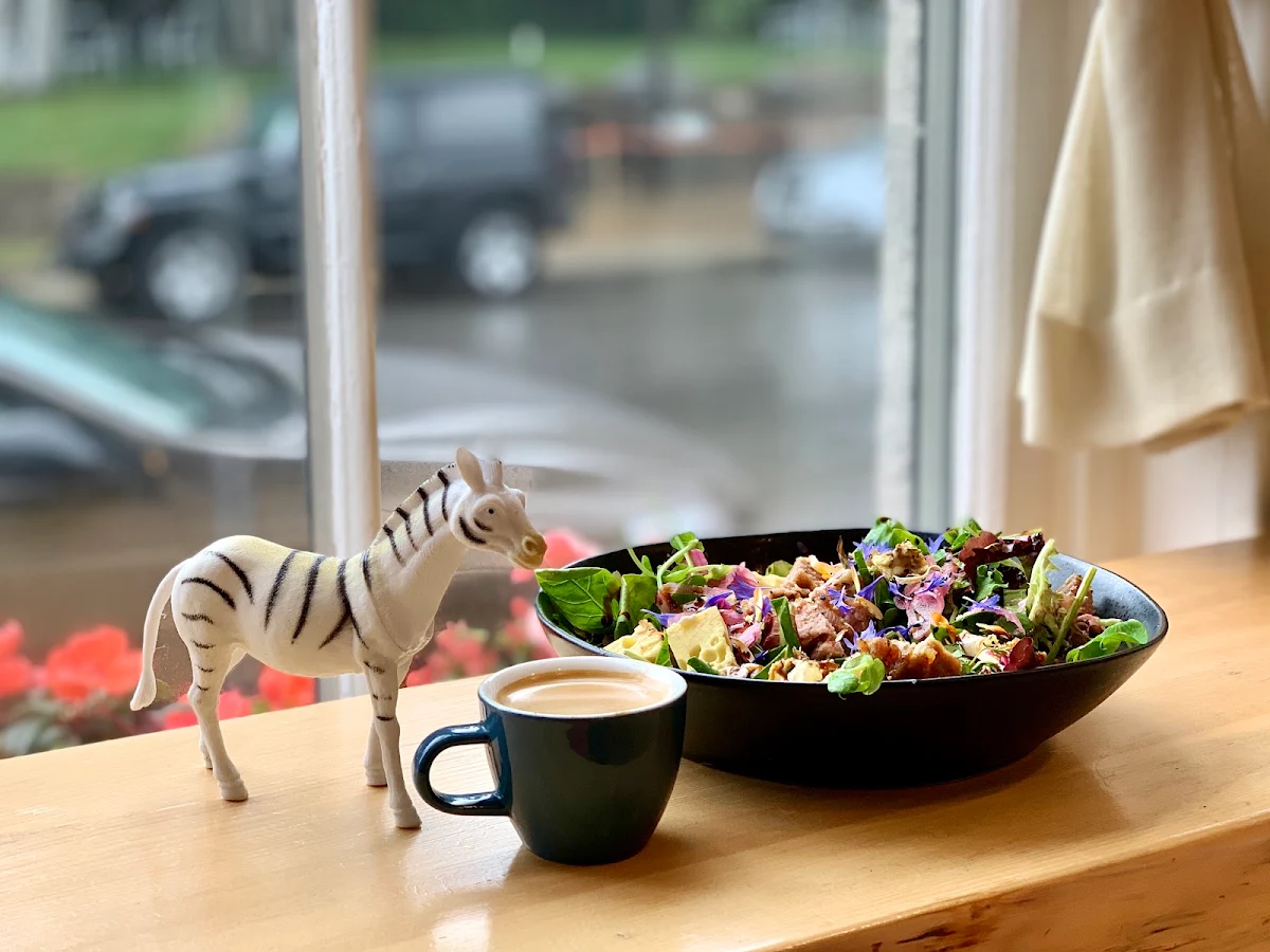 Salad