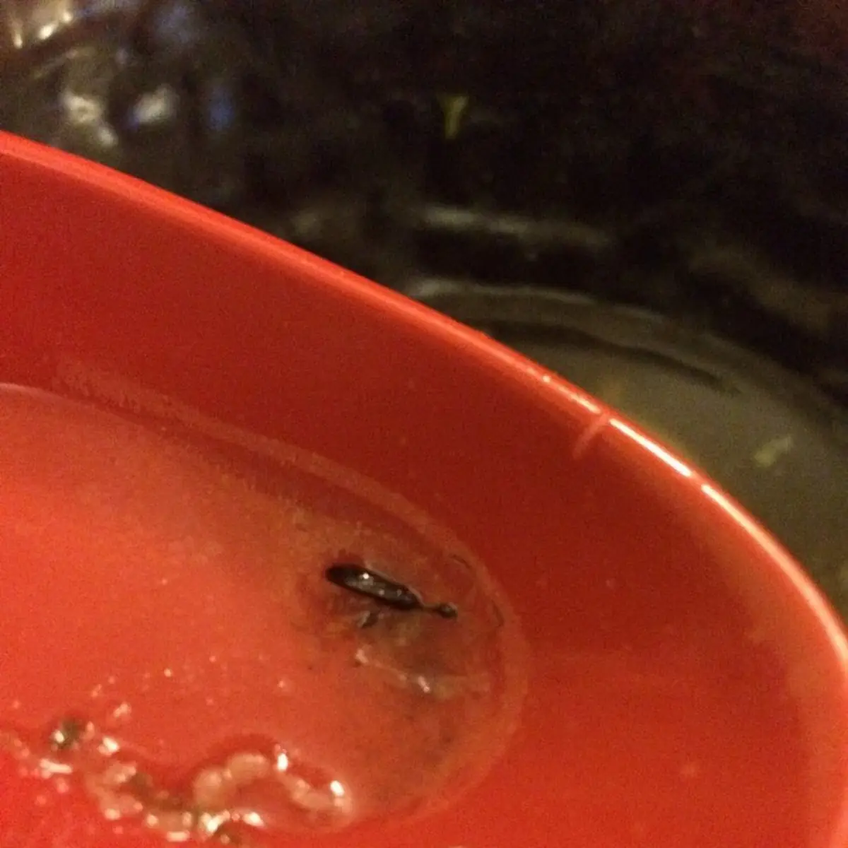 Miso Soup