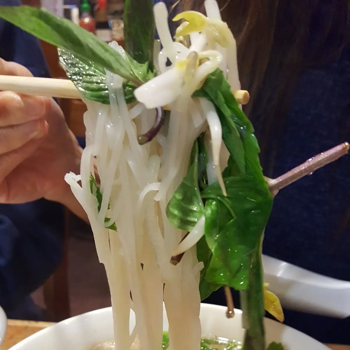 Fresh Pho Noodle Soup