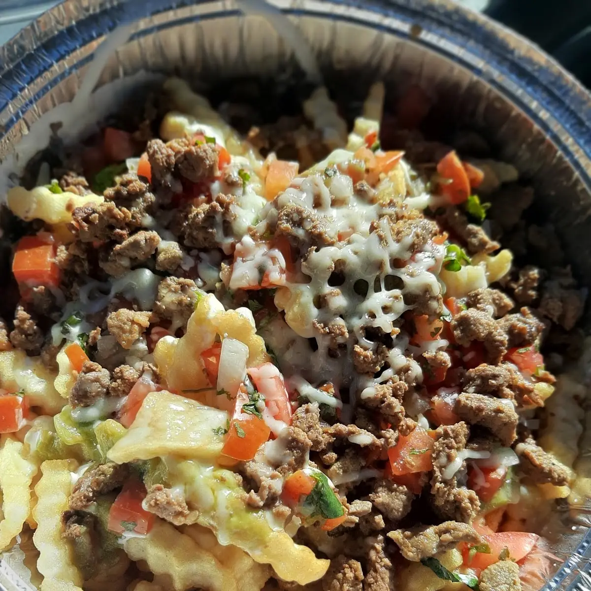 Carne Asada Fries