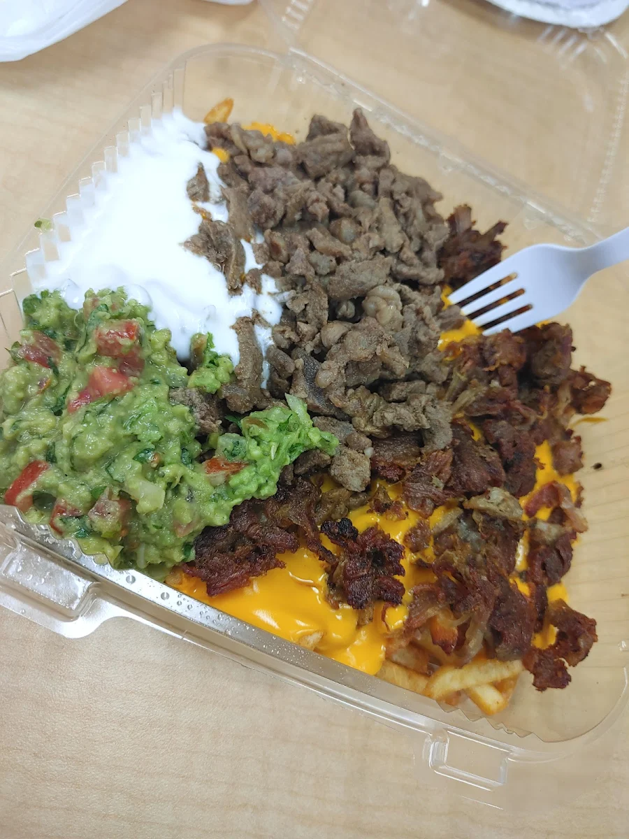 Carne Asada Fries