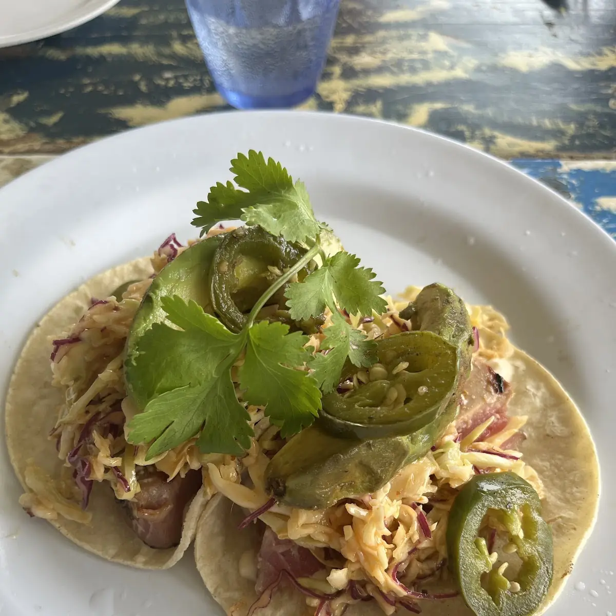 Seared Ahi Tacos