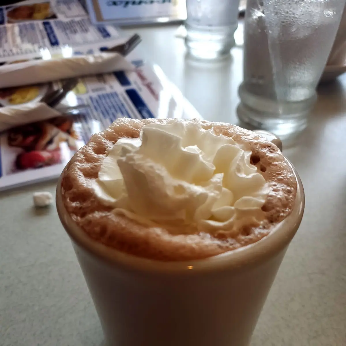 Hot Chocolate with Whipped Cream