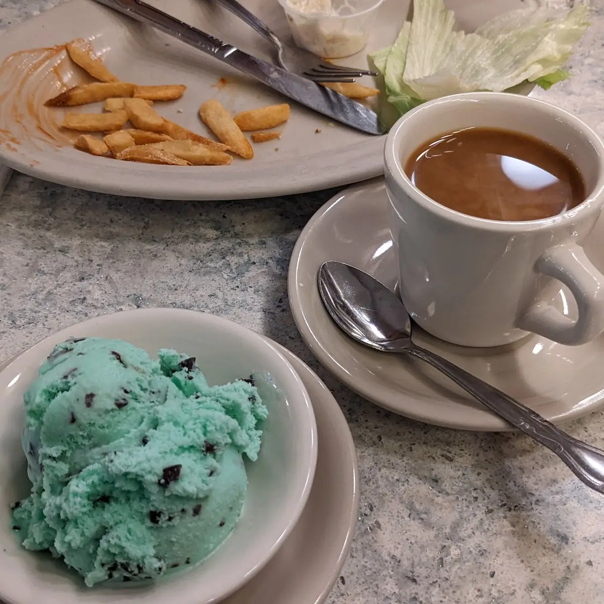 Mint Chocolate Chip Ice Cream