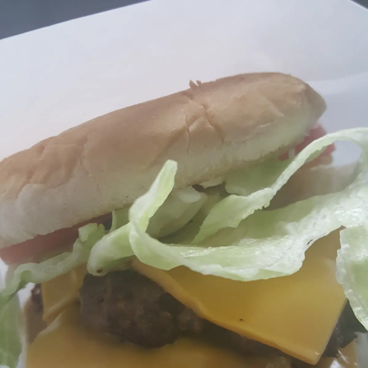 Double Cheeseburger