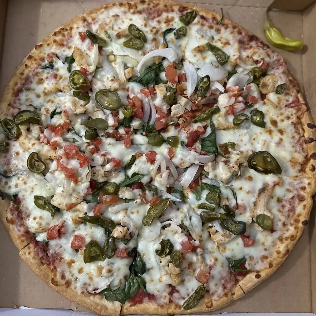 Grilled Chicken Thin Crust Cheese Pizza