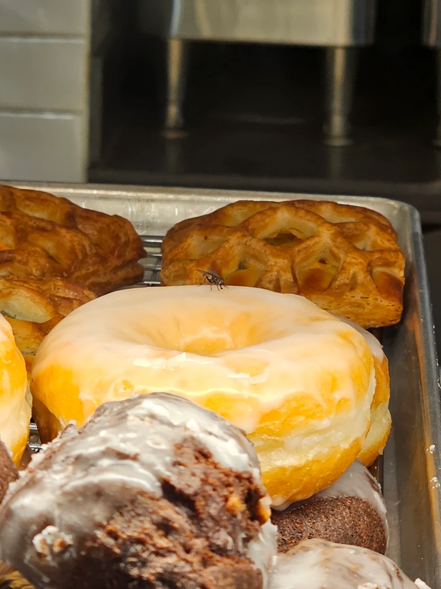 Apple Fritter Donut