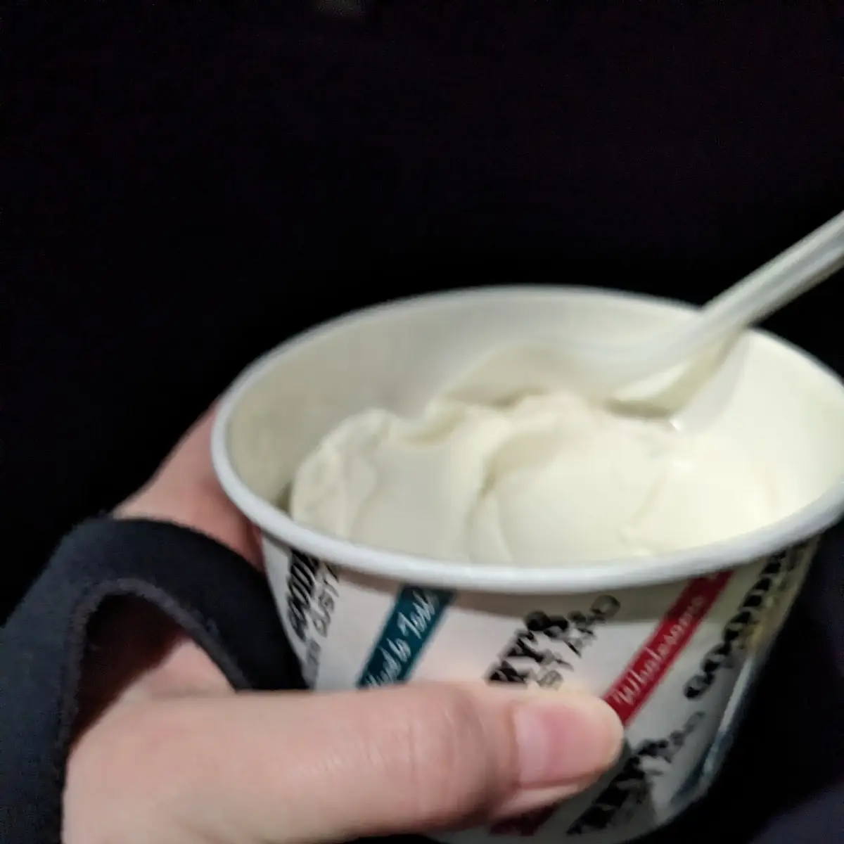 Vanilla Ice Cream