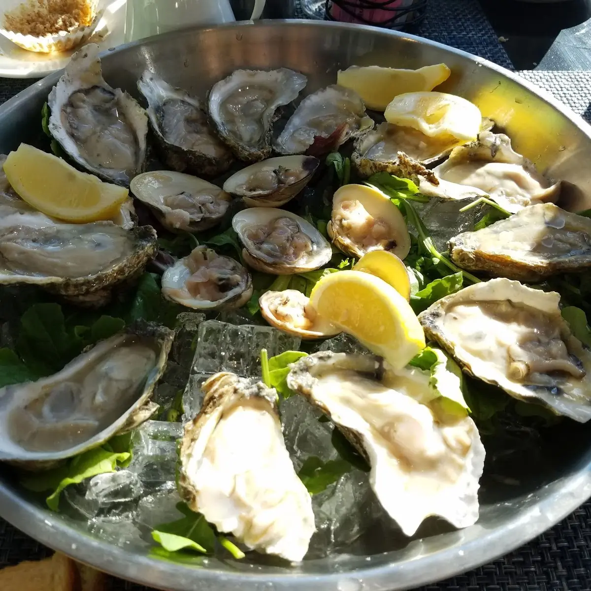 East Coast Oyster