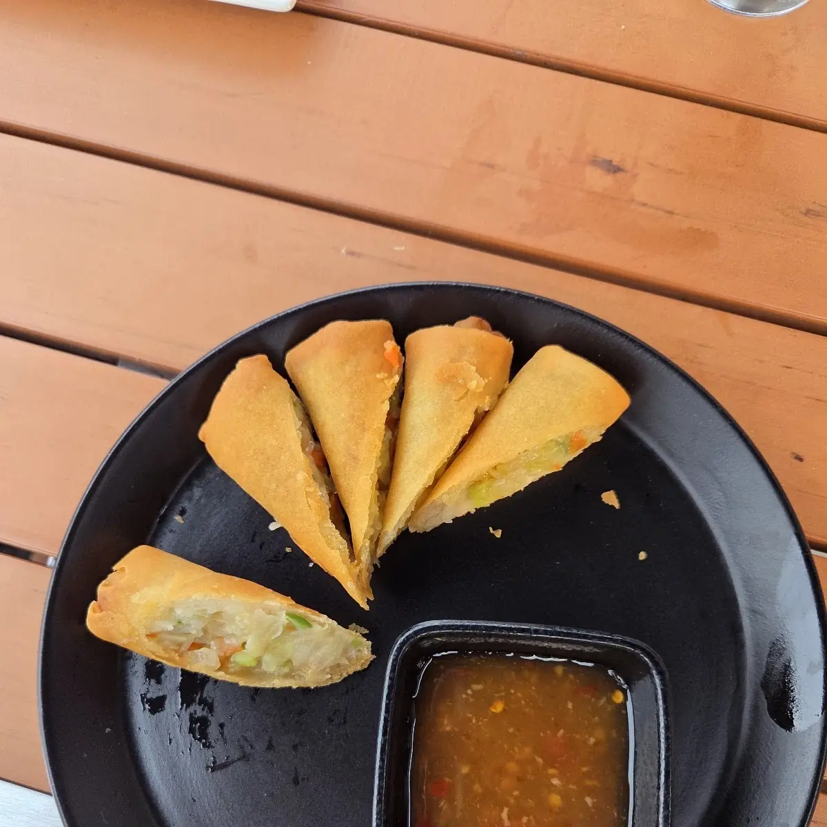 Fried Vegetable Spring Rolls Appetizer
