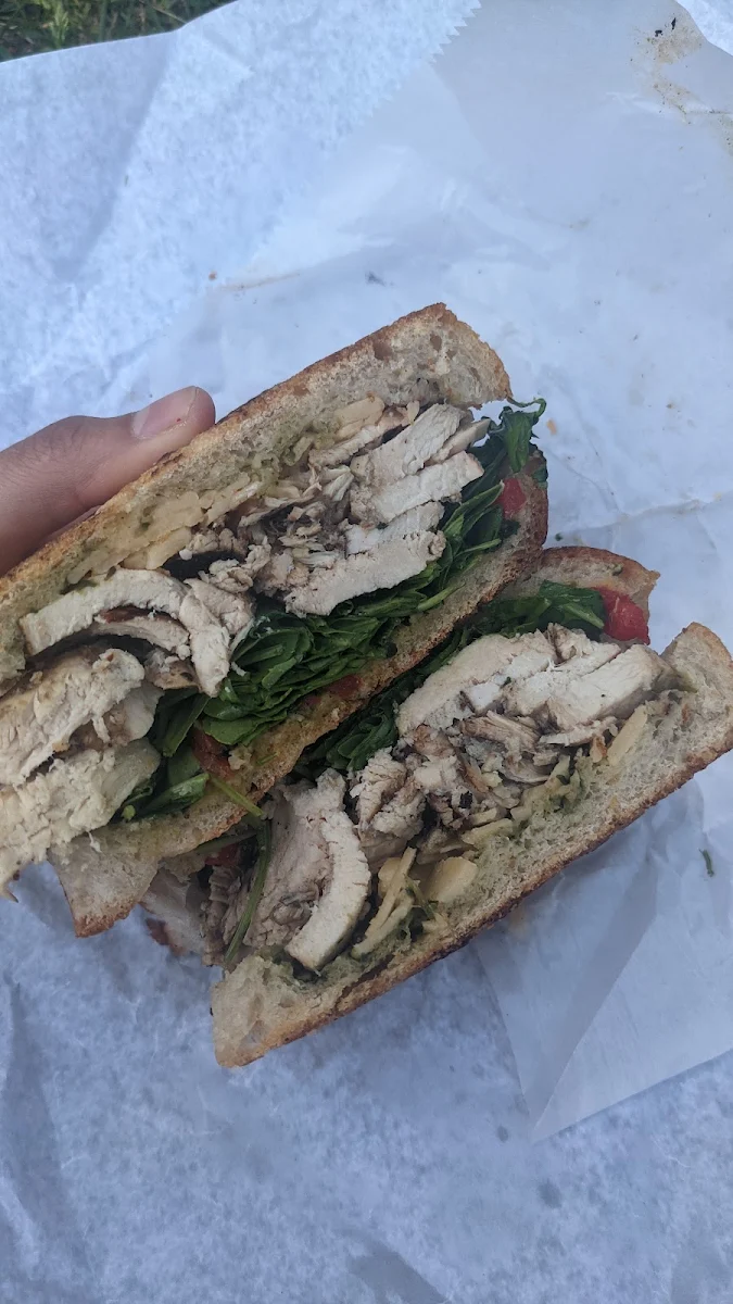 Chicken Pesto Sandwich