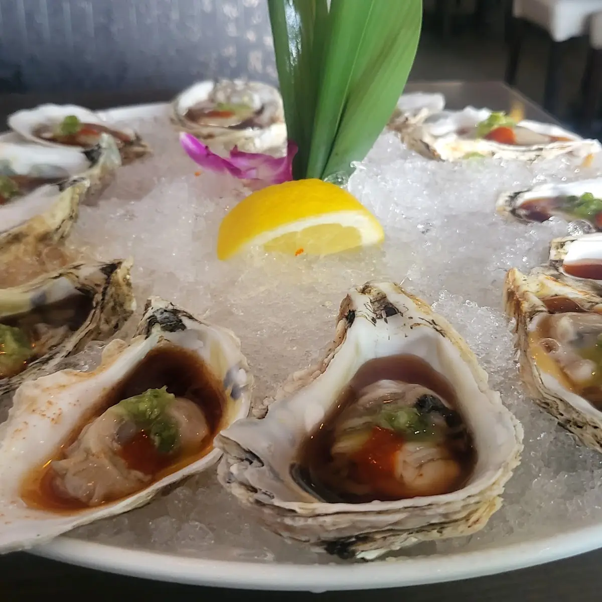 Raw Oysters on the Half Shell