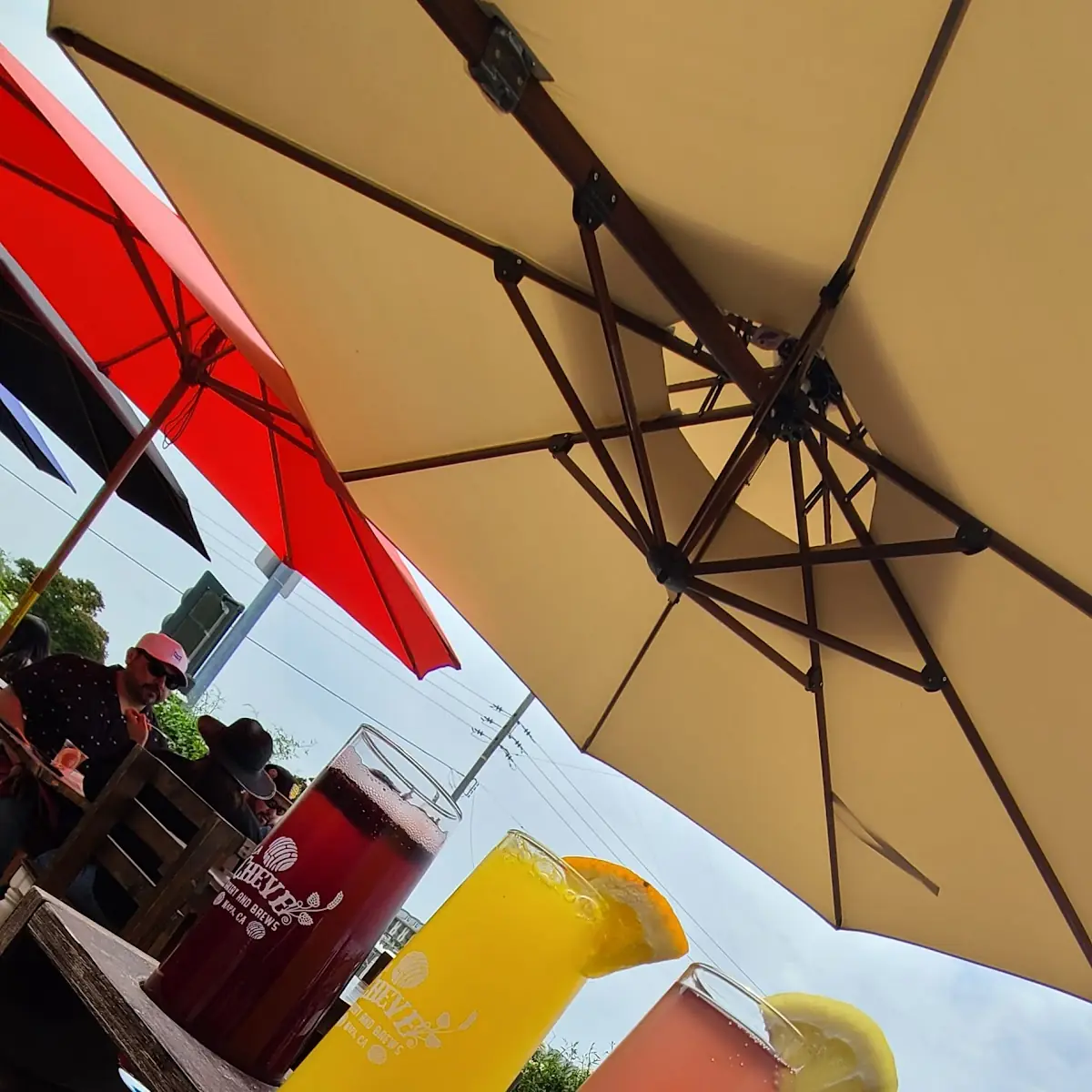 Mimosa Flight