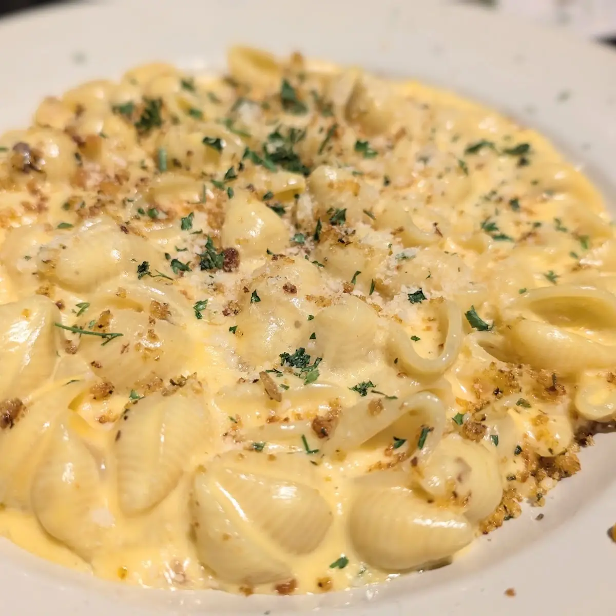 5 Cheese Mac and Cheese