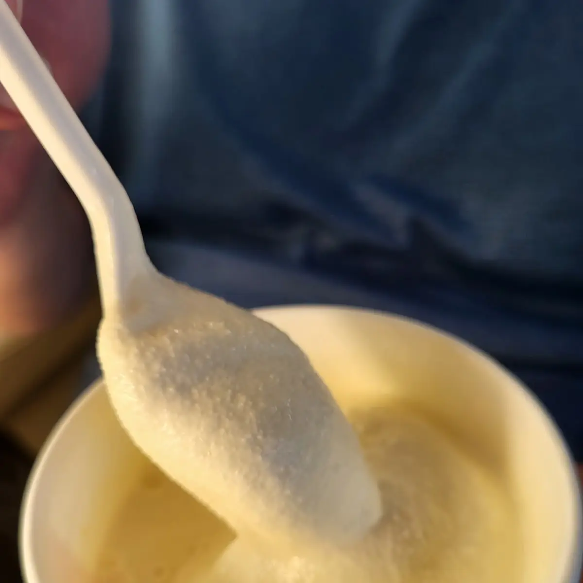 Vanilla Malt