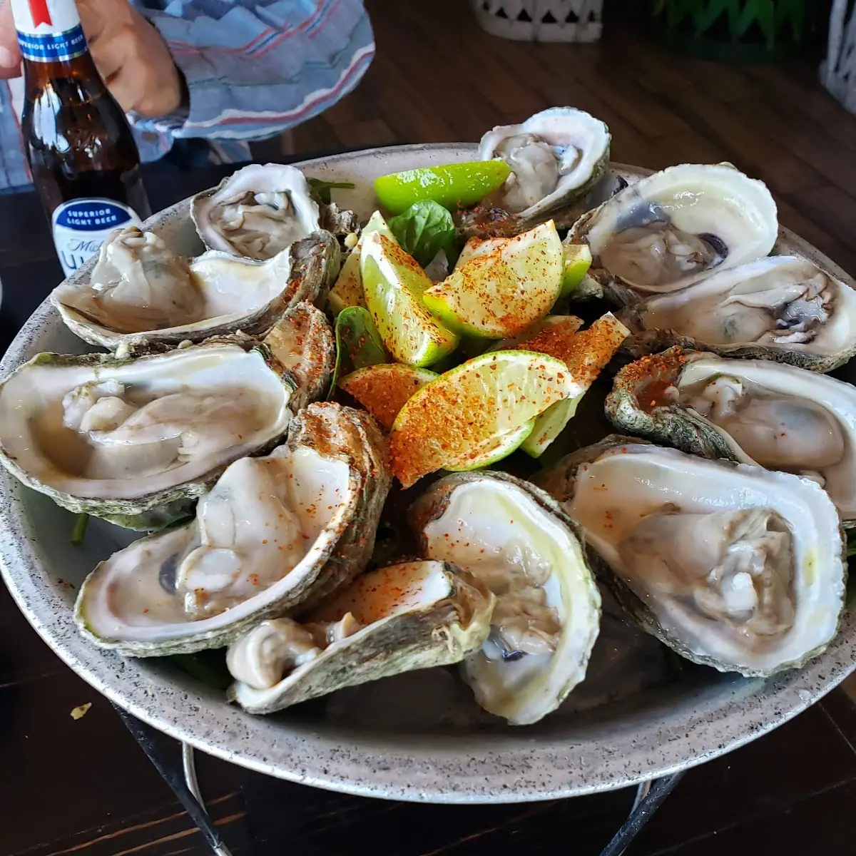 Oysters on the Half Shell