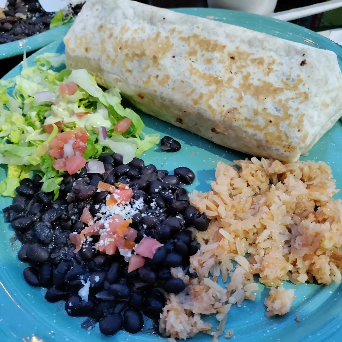 Carne Asada Burrito