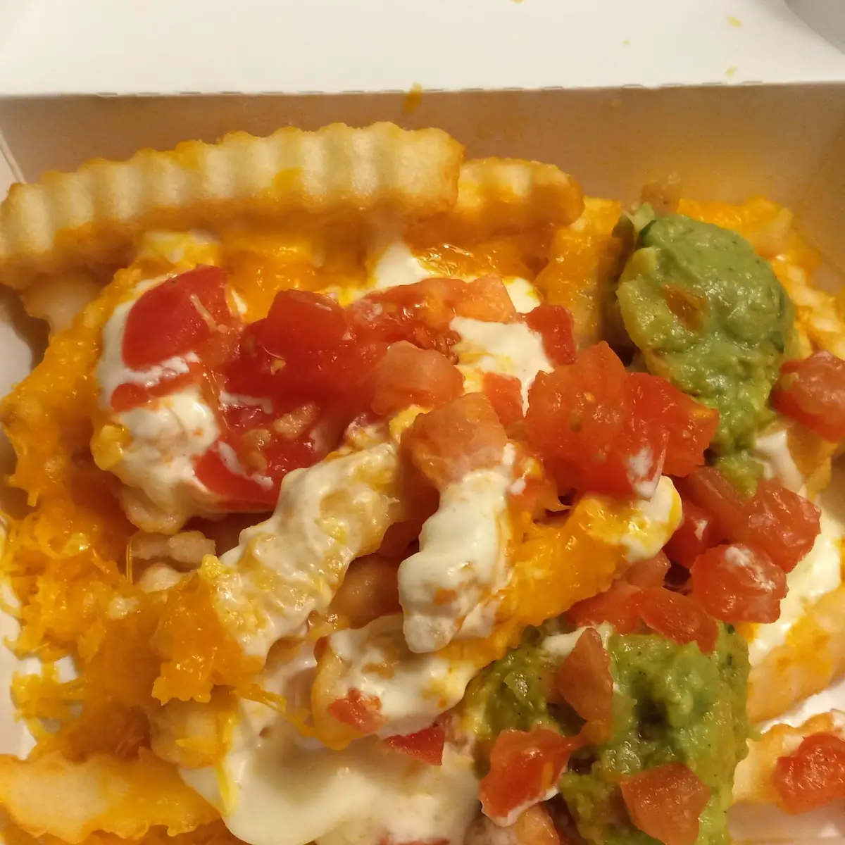 Carne Asada Fries