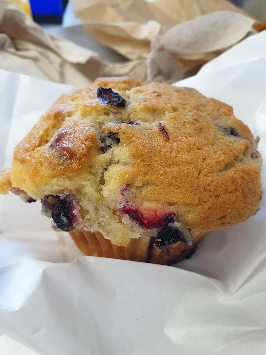 Blueberry Muffin