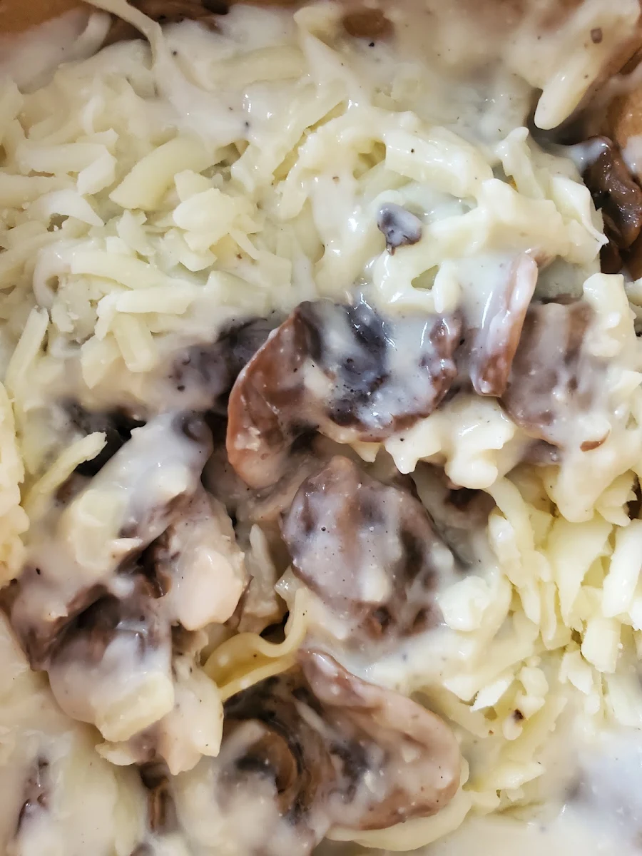 Fettuccine Alfredo Mushroon & Cheese
