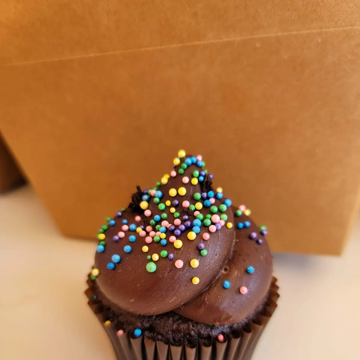 Chocolate Fudge Cupcake