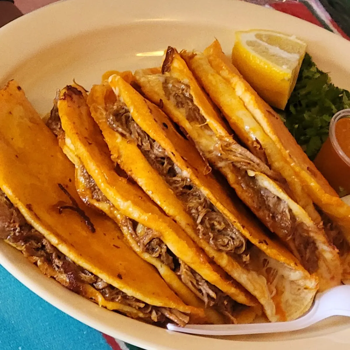 Birria Large Hard Shell Taco