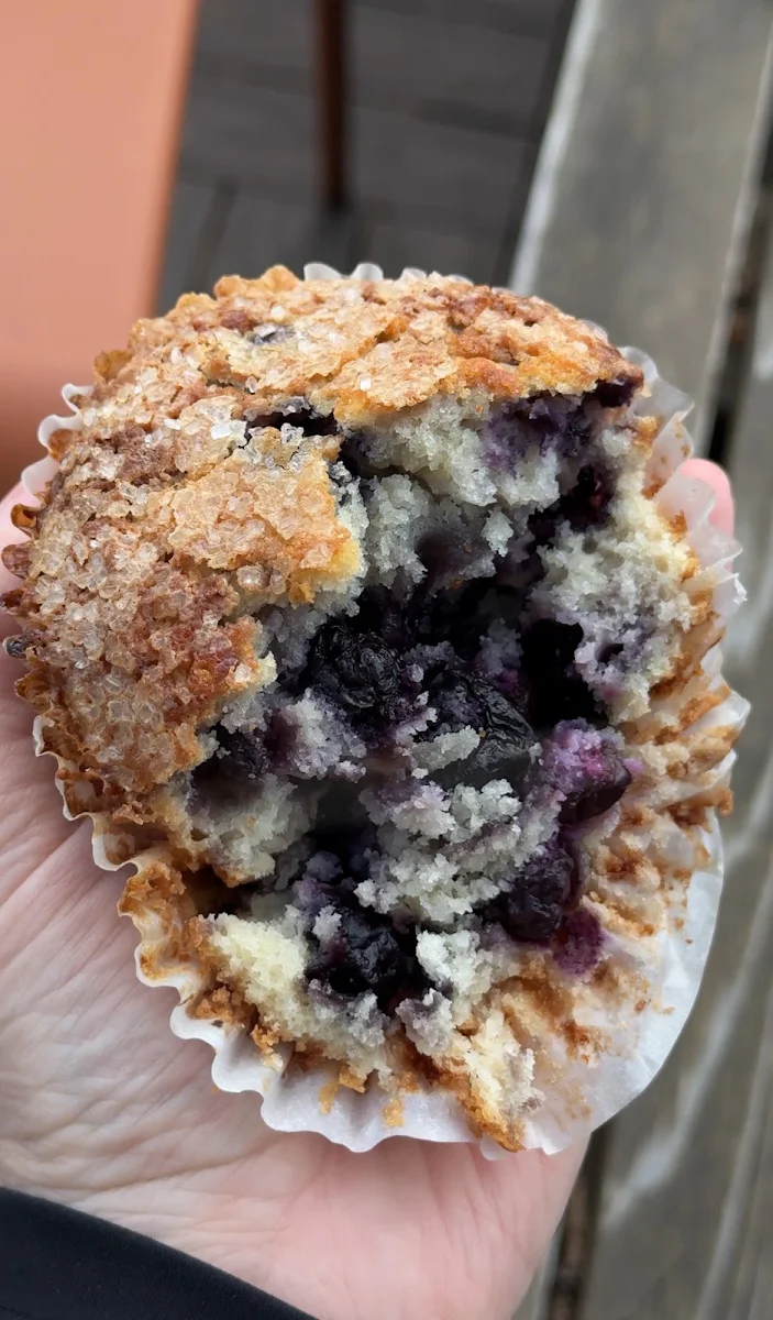 Blueberry Muffin