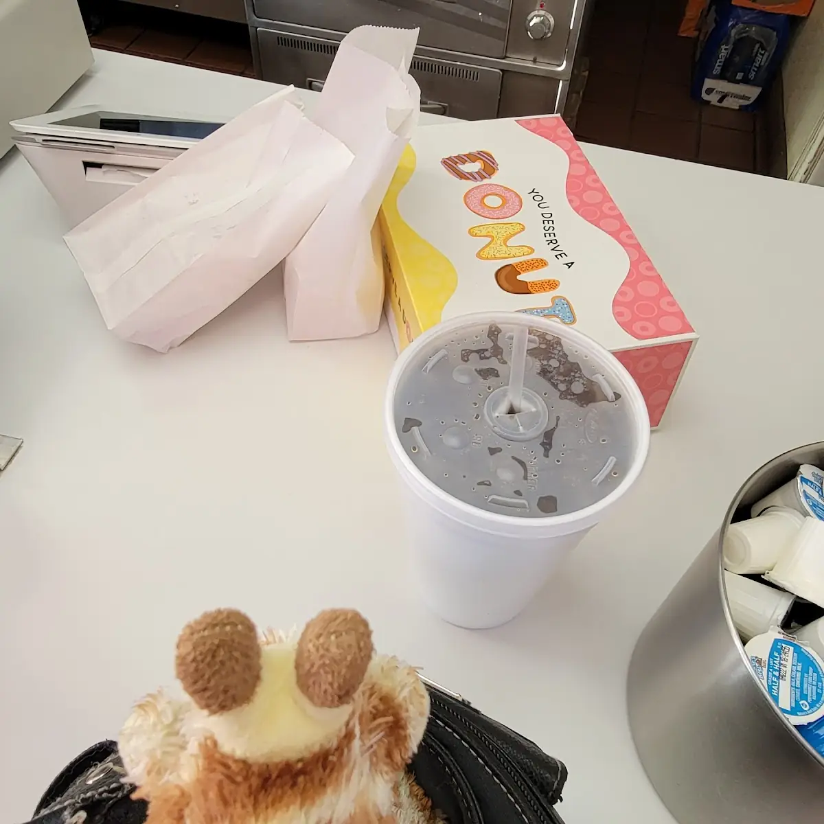 One Dozen Yumbos Donut Holes