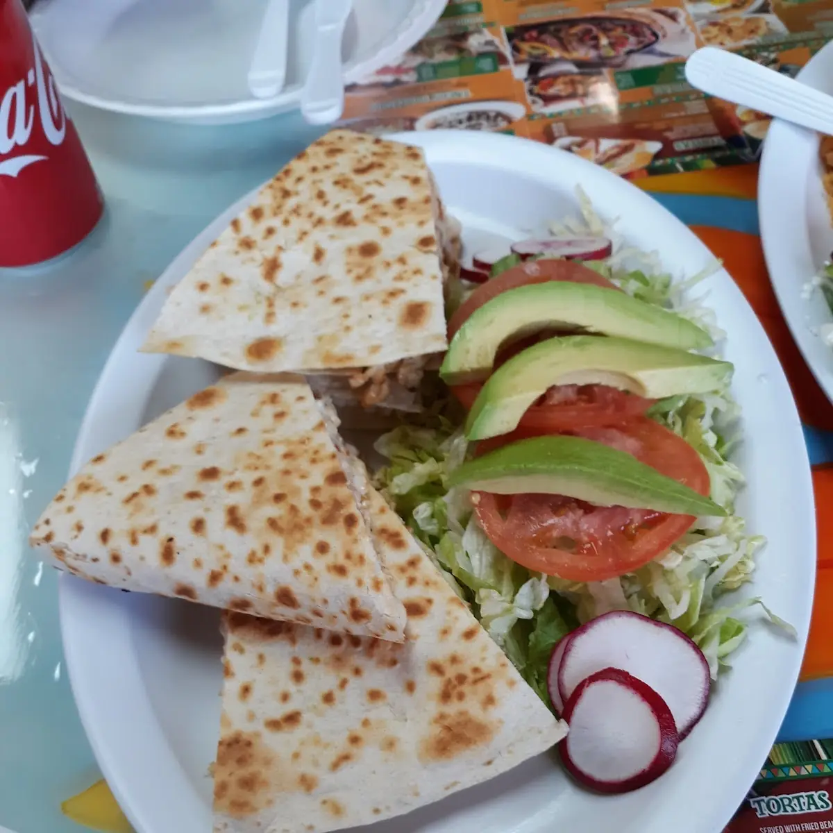 Chicken Quesadilla with Salad