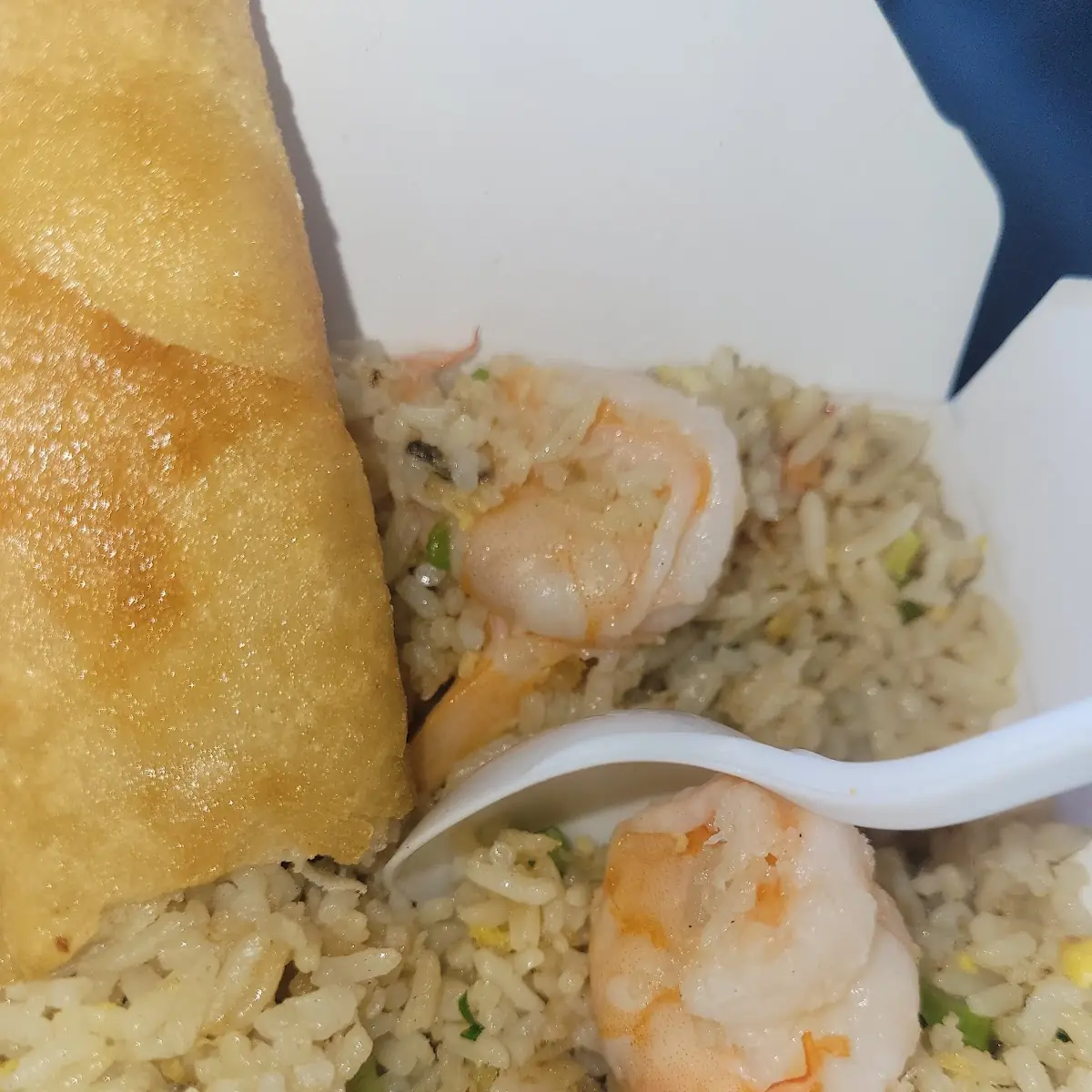 Egg Roll and Fried Rice