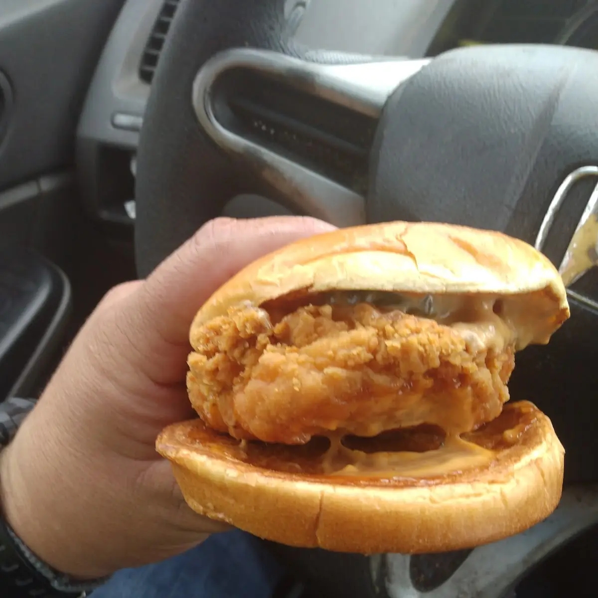 Crispy Chicken Burger