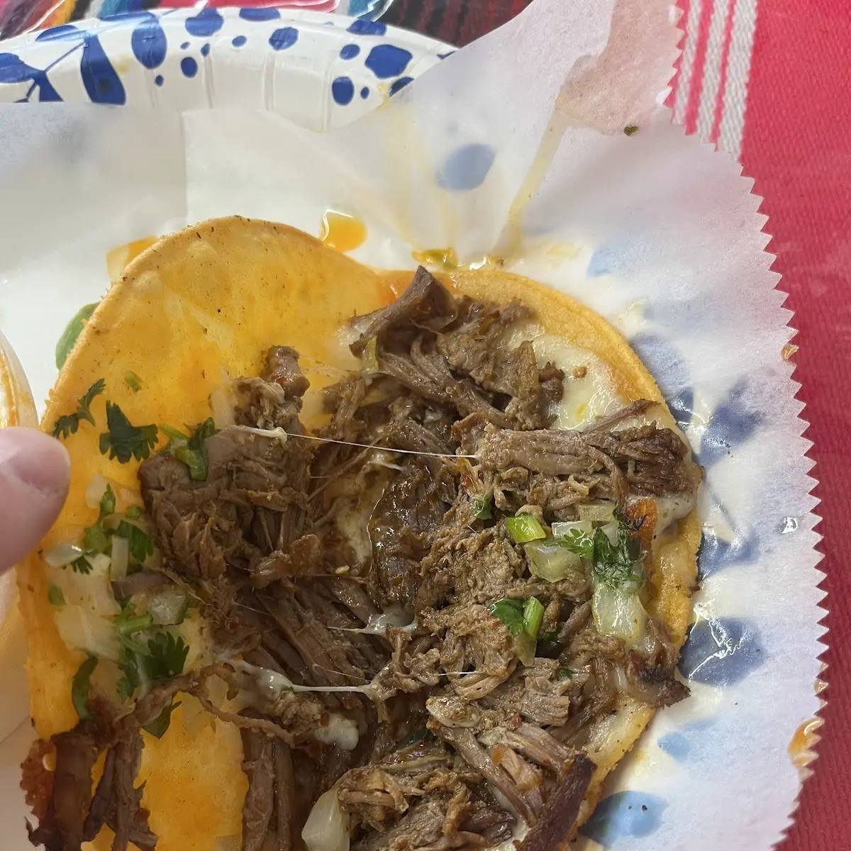 Birria Taco Full