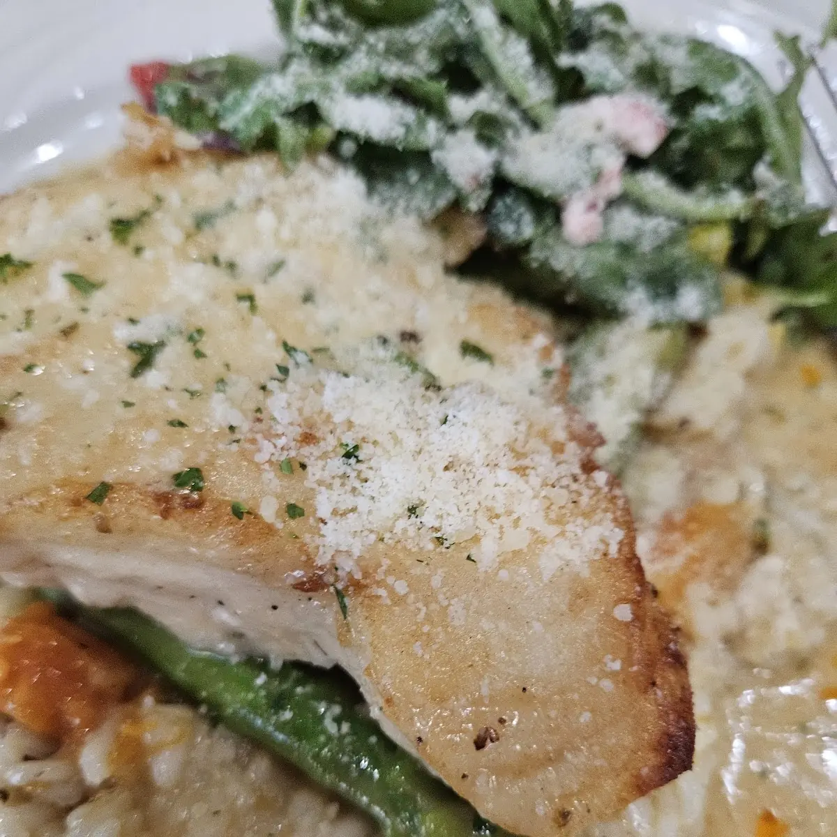 Sea Bass
