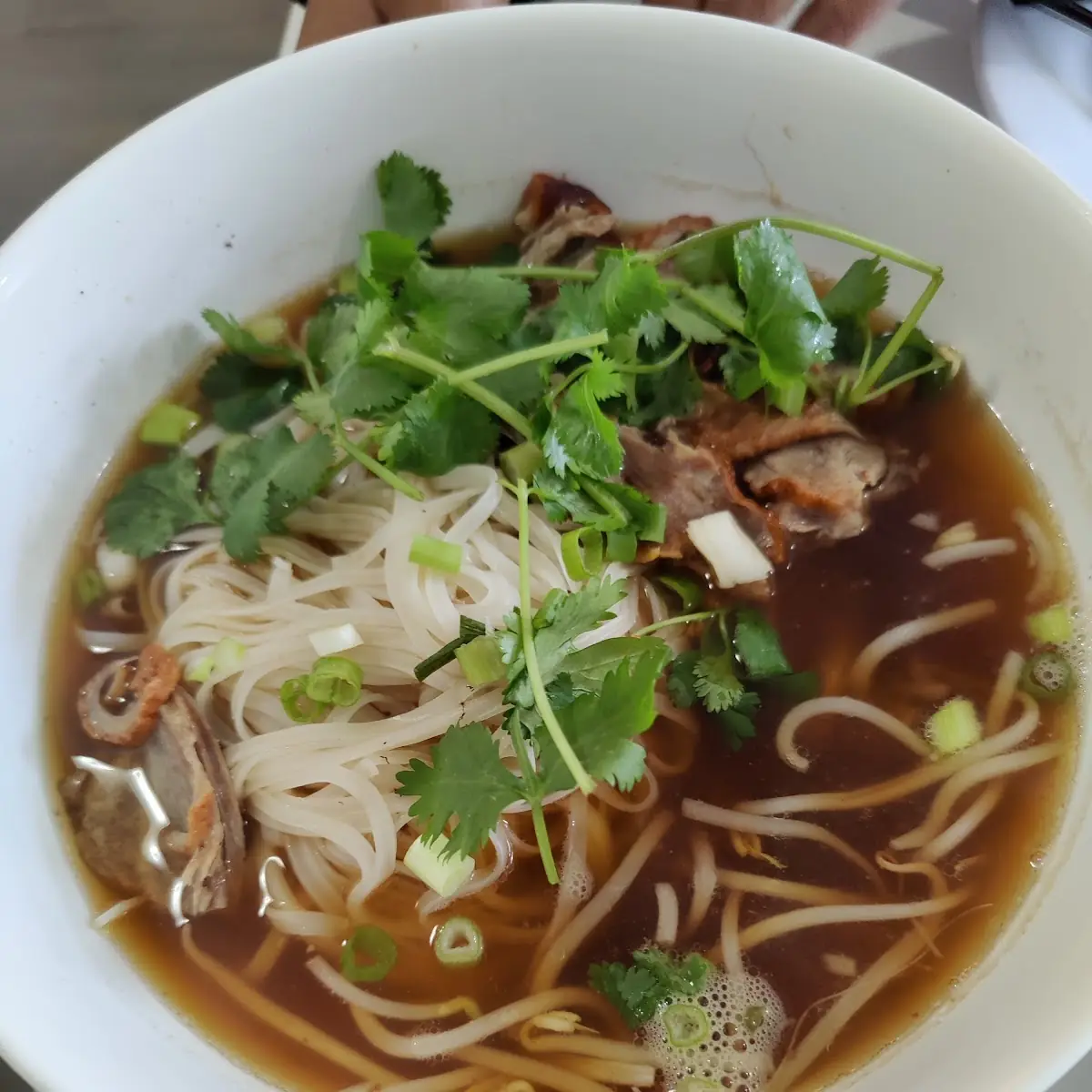 Duck Noodles Soup