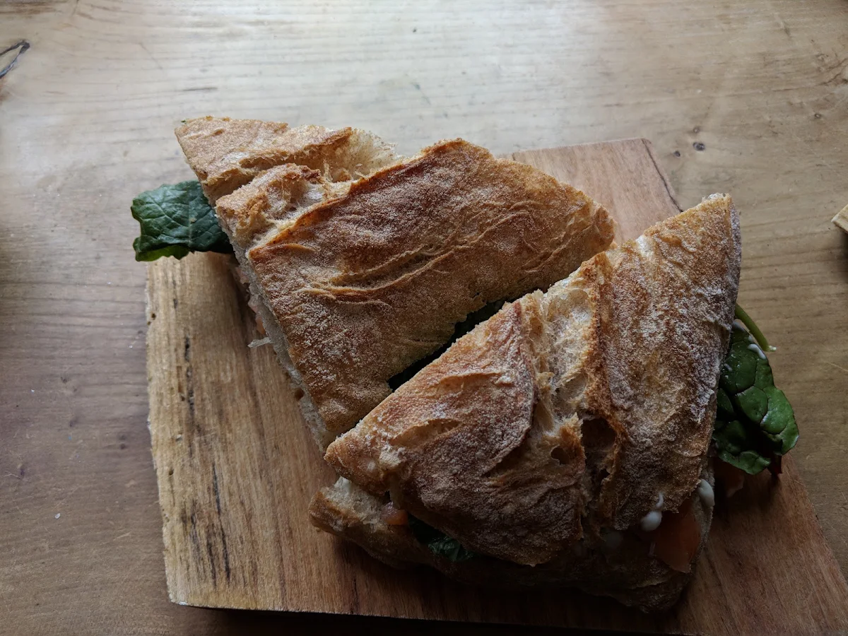 Salmon Sandwich