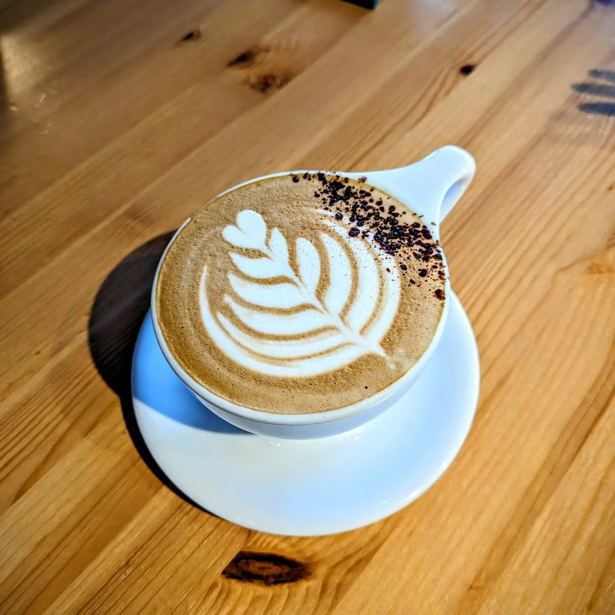 Turtle Mocha