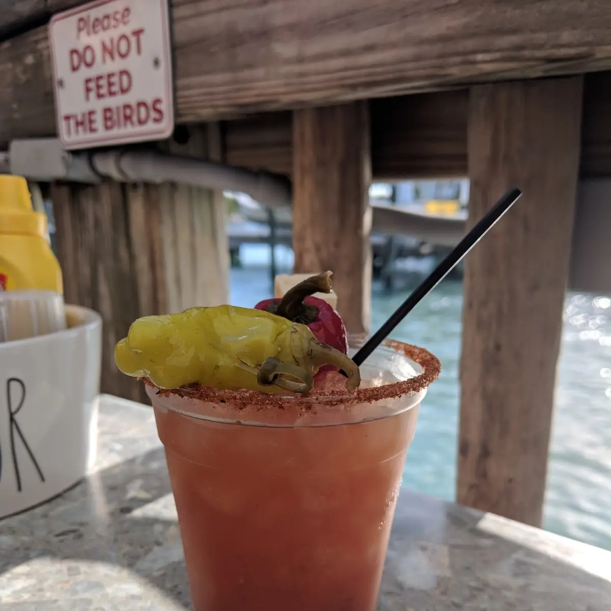 Loaded Salty Dog