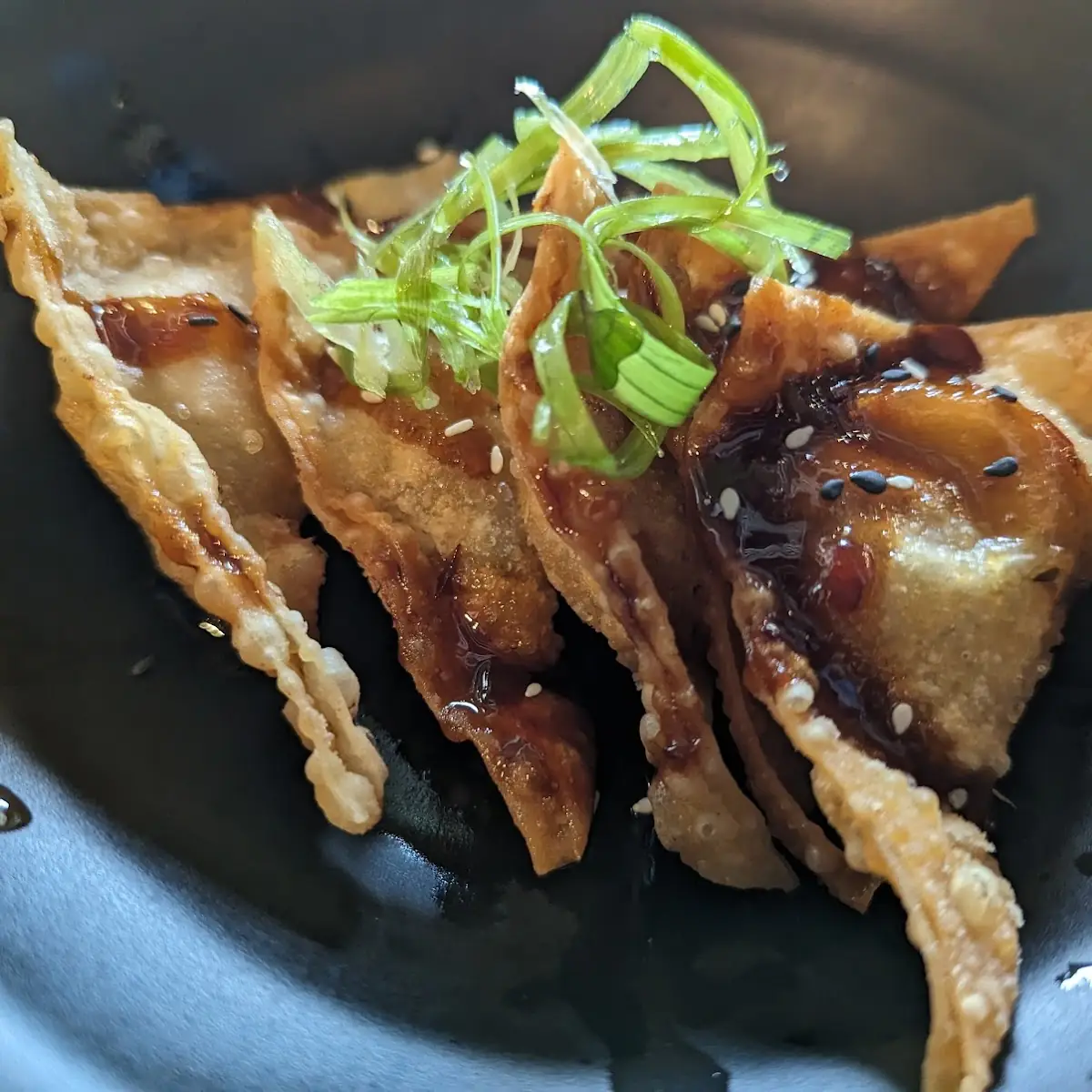 Spicy Turkey Gyoza