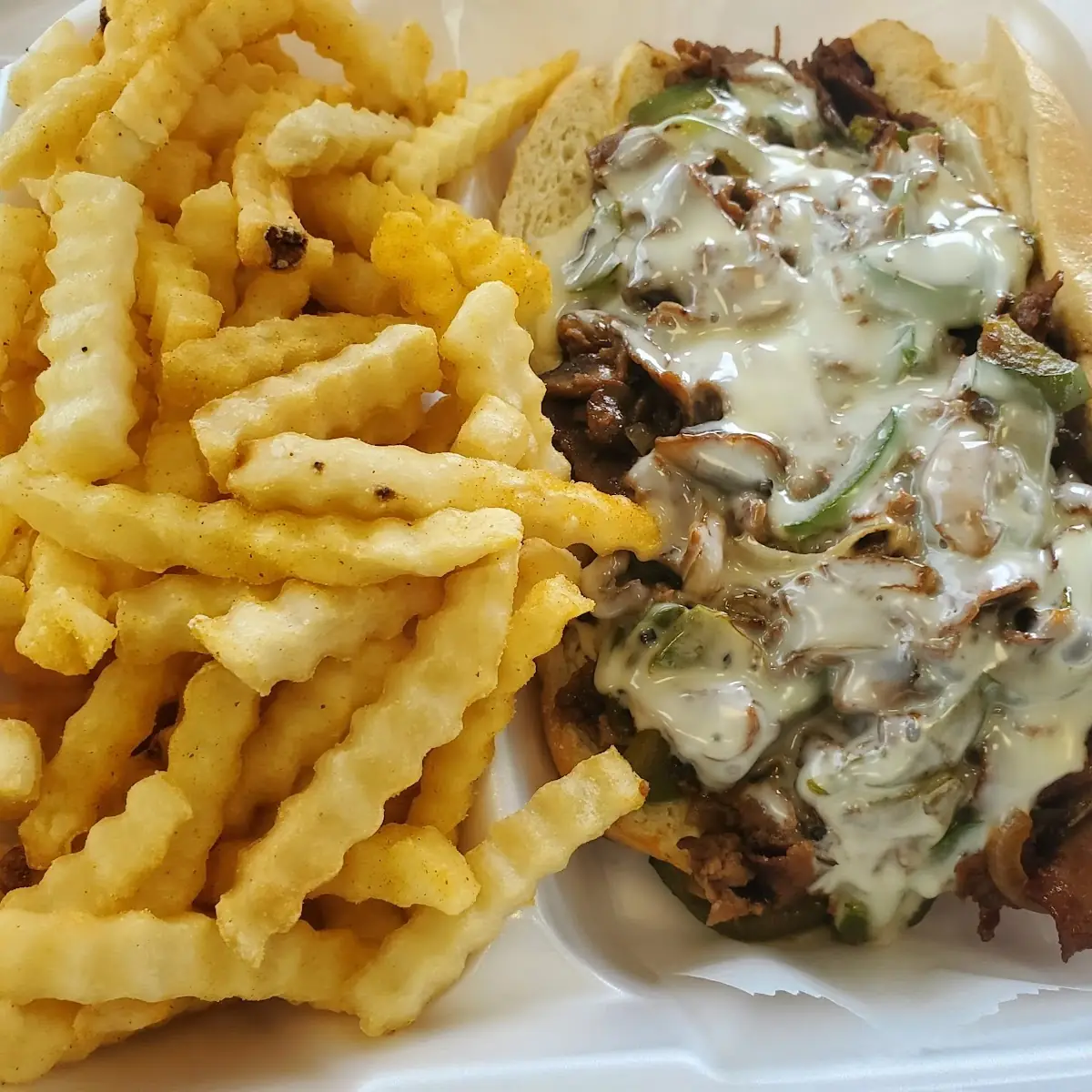 Philly Cheese Steak and Fries
